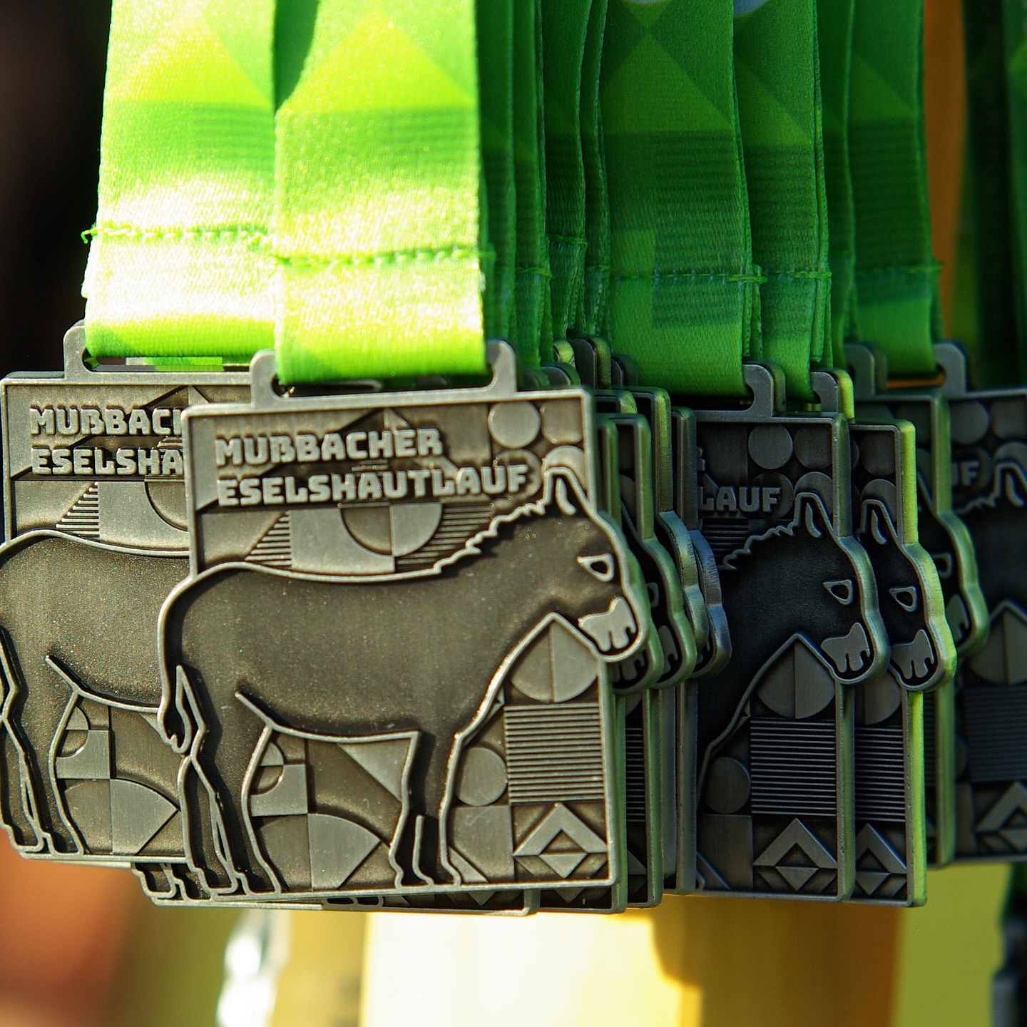 2. Mußbacher Eselshautlauf - 30. August 2025